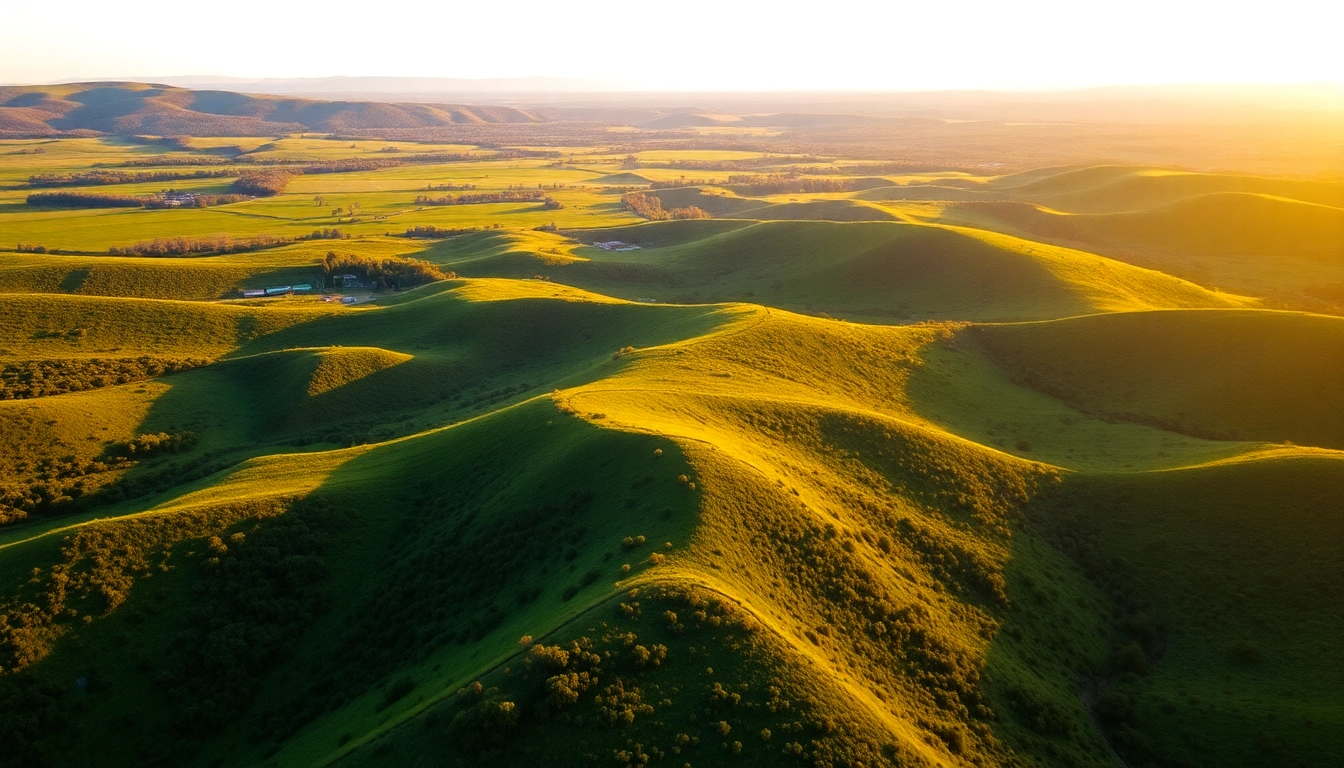 Capturing the World: The Art of Aerial Photography with Drone Cameras